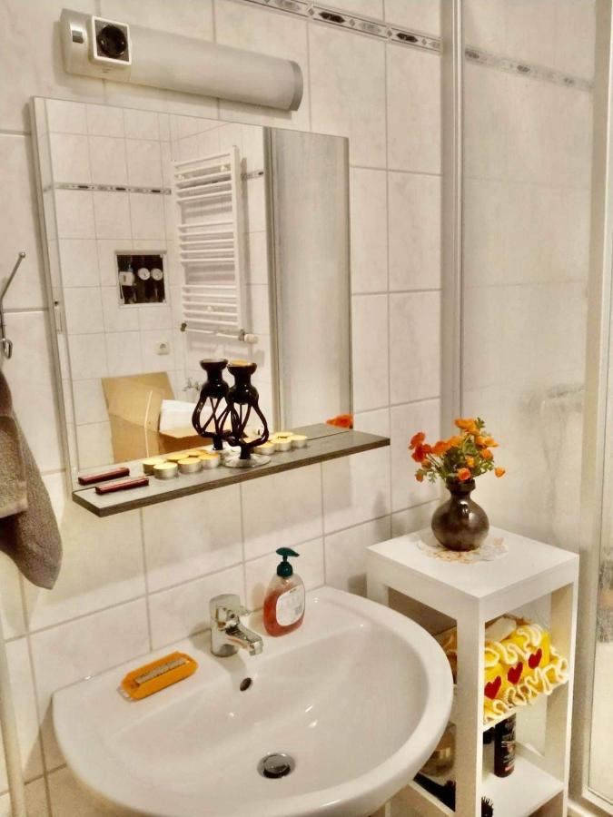 Ferienzimmer Healing Und Montuerwohnung Weißenfels المظهر الخارجي الصورة