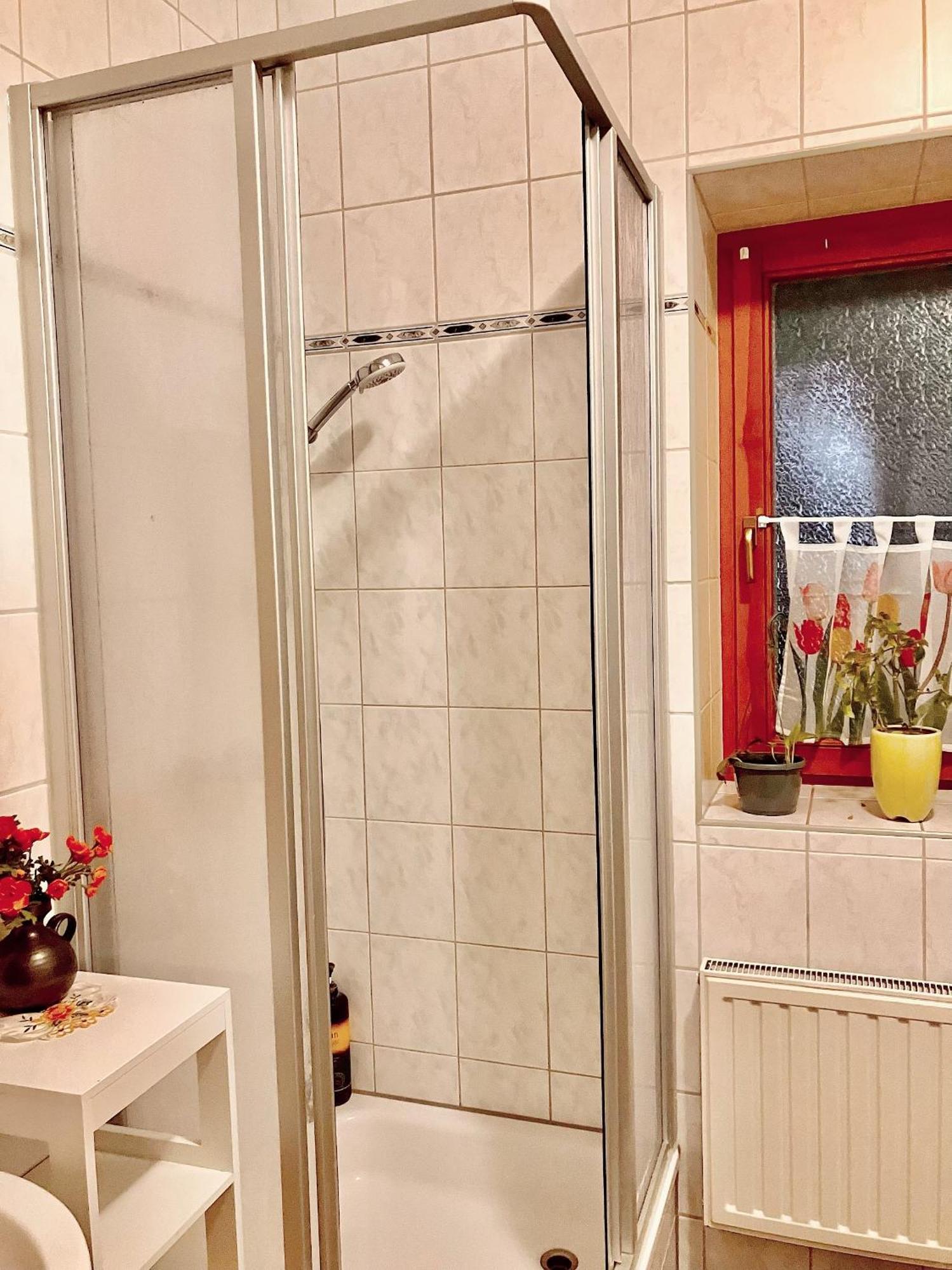 Ferienzimmer Healing Und Montuerwohnung Weißenfels المظهر الخارجي الصورة