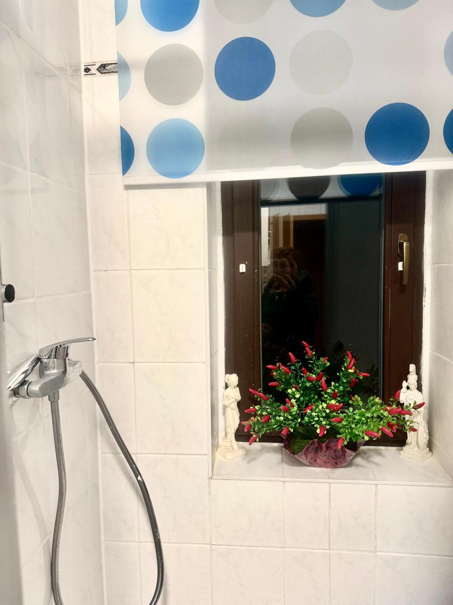 Ferienzimmer Healing Und Montuerwohnung Weißenfels المظهر الخارجي الصورة