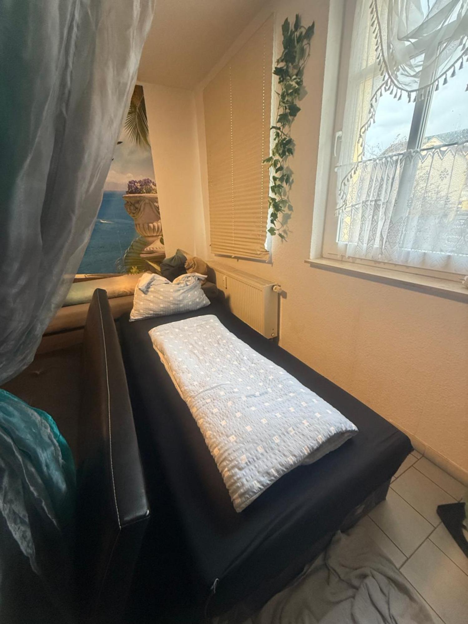 Ferienzimmer Healing Und Montuerwohnung Weißenfels المظهر الخارجي الصورة